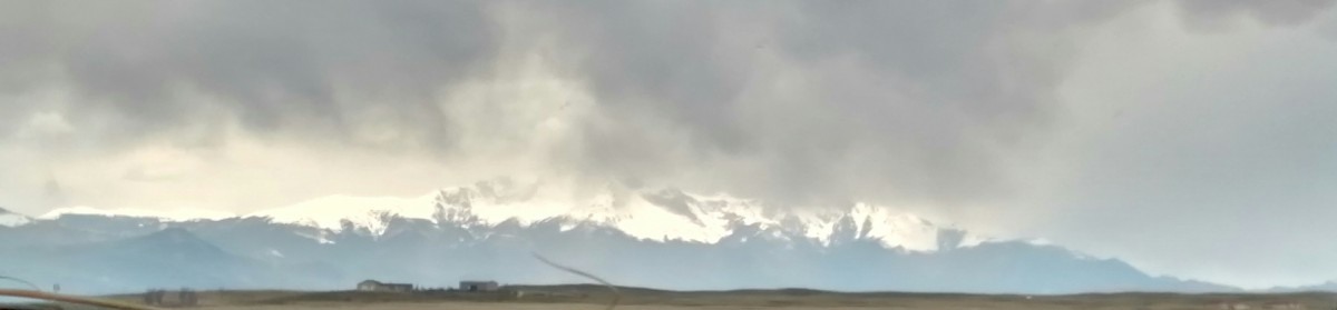 polarwithgracedotorg